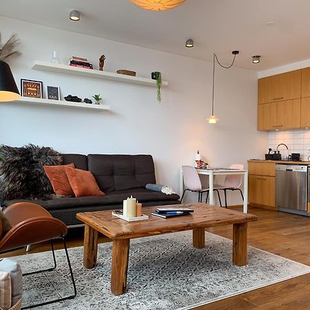 Laugavegur Penthouse Apartment Reykjavik Bagian luar foto