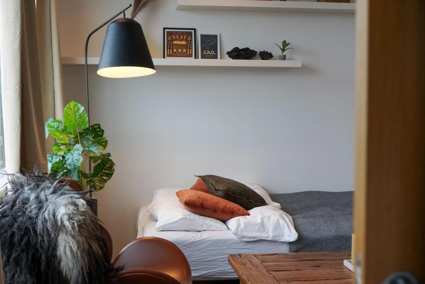 Laugavegur Penthouse Apartment Reykjavik Bagian luar foto